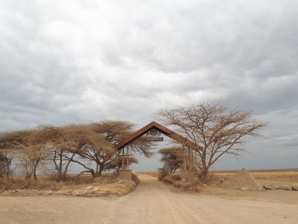 Serengeti Nationalpark Gate