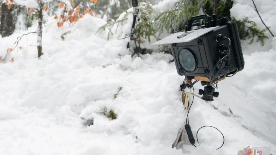 DIY DSLR Cameratrap in the snow